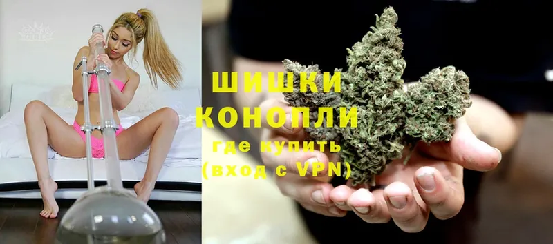 купить наркотики цена  Александровск-Сахалинский  Канабис SATIVA & INDICA 